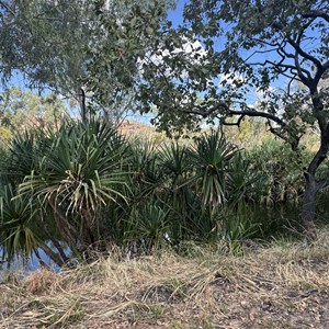 Lupayi Campground