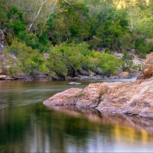 Alligator Creek within Bowling Green NP.