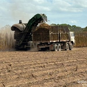 Sugar Cane harvesting at Home Hill