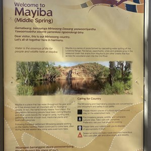 Mayiba (Middle Springs)
