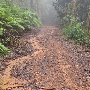 Rowleys Rock Lookout