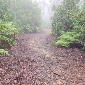 Rowleys Rock Lookout