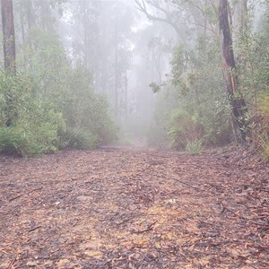 Rowleys Rock Lookout