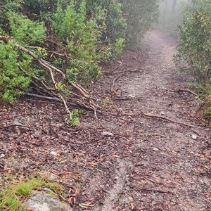 Rowleys Rock Lookout