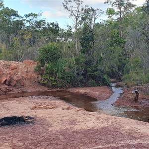 Louise’s Creek Camp