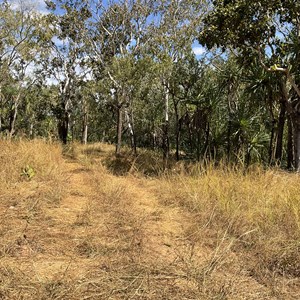 Adelaide River Rest Area/Camp