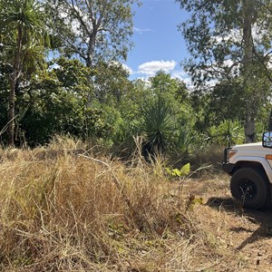 Adelaide River Rest Area/Camp