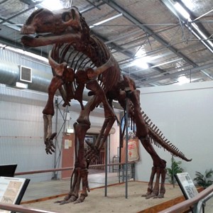 Dinosaur at Hughenden Information Centre