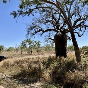 Boab Tree Waterhole