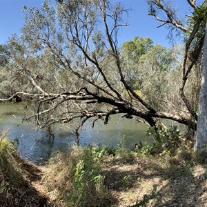 Boab Tree Waterhole