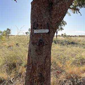 Sign On Tree