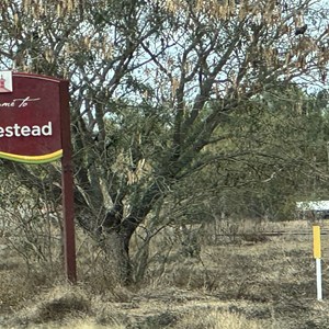 Homestead