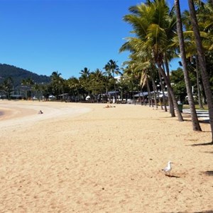 The beach at Airlie
