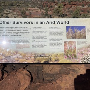 Other Survivors In An Arid World Sign