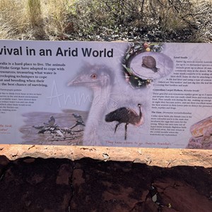 Survival In An Arid World Sign