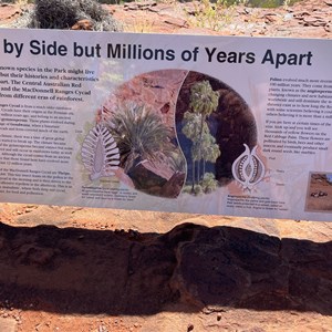 Side By Side But Millions Of Years Apart Sign