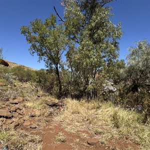 George River (Camp 5)