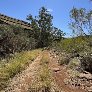 George River (Camp 5)