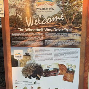 Newcarlbeon Rock Reserve