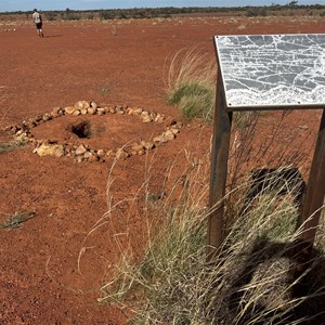 Native Wells