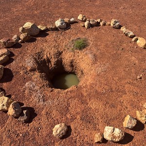 Native Wells