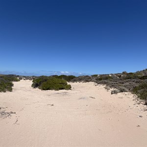 Dog Fence Beach Campground