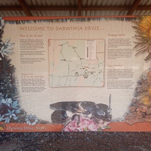 Darwinia Drive Trail, Stop 1 of 5
