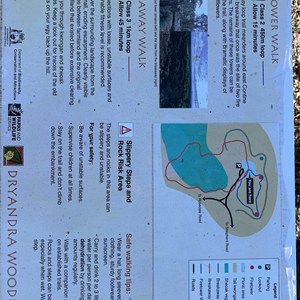 Contine Hill Picnic Area