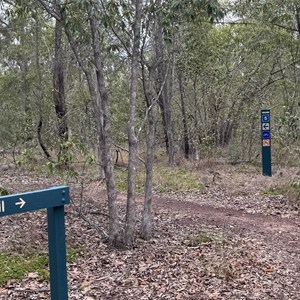 Forestry camp trailhead