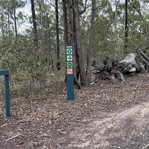 Forestry camp trailhead
