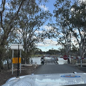 Walker Flat Cable Punt