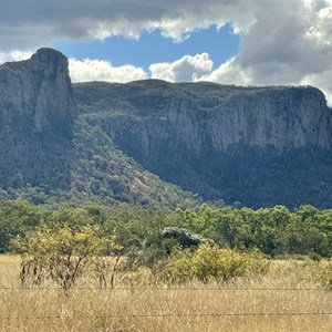 Mount Zamia