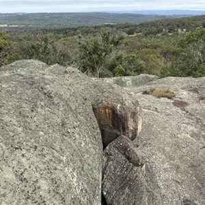 Donnelly’s Castle Lookout 2
