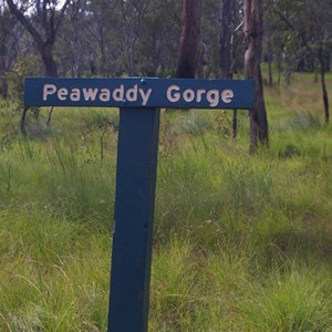 Peawaddy Gorge Track junction