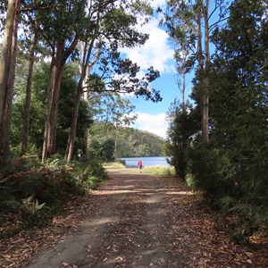 Exiting forest before ramp