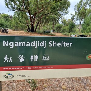 Ngamadjidj shelter