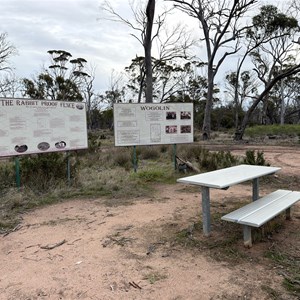 Rabbit Proof Fence