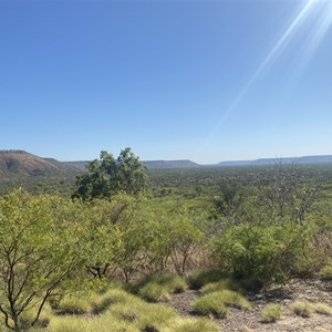 Fig Tree Valley Lookout
