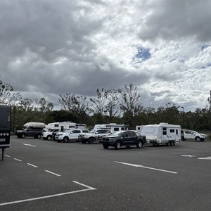 Miriam Vale
