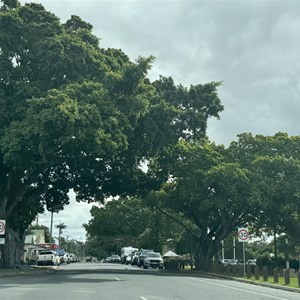 Miriam Vale
