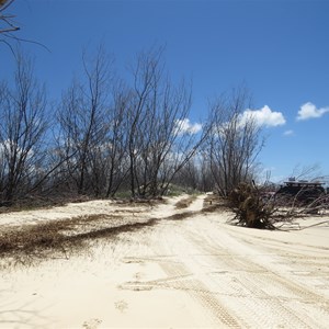 Beach erosion at the Cape - Jan 2016