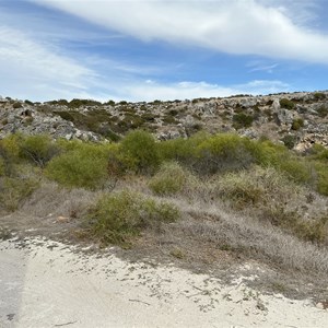 Knobby Head Campsites