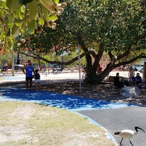 The park near Cotton Tree