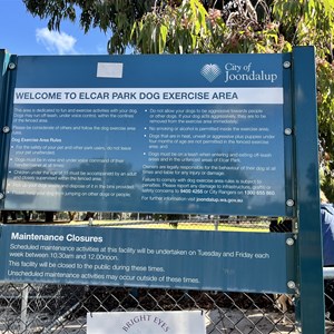 Elcar Park Dog Exercise Area