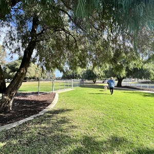 Elcar Park Dog Exercise Area