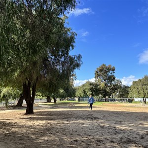 Elcar Park Dog Exercise Area