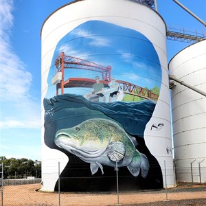 Paringa Silo Art