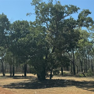 Towns River Campground