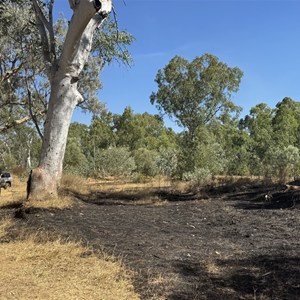 Nicholson River Camp