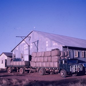 loading wool at Currawinya shed 1968